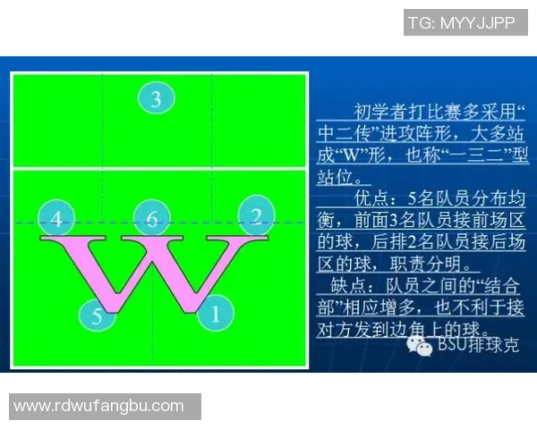 成都排球队的转换打法深度分析与战术创新探讨